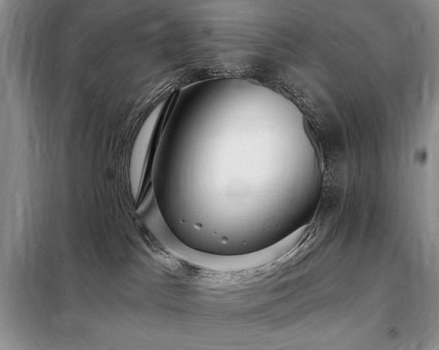 X0000098200045200805011157
