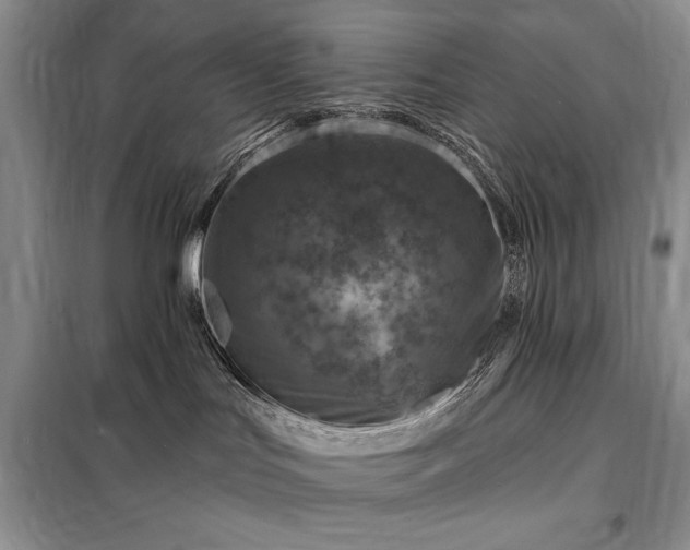 X0000098200047200805011157