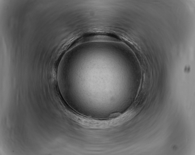 X0000098200048200805011157