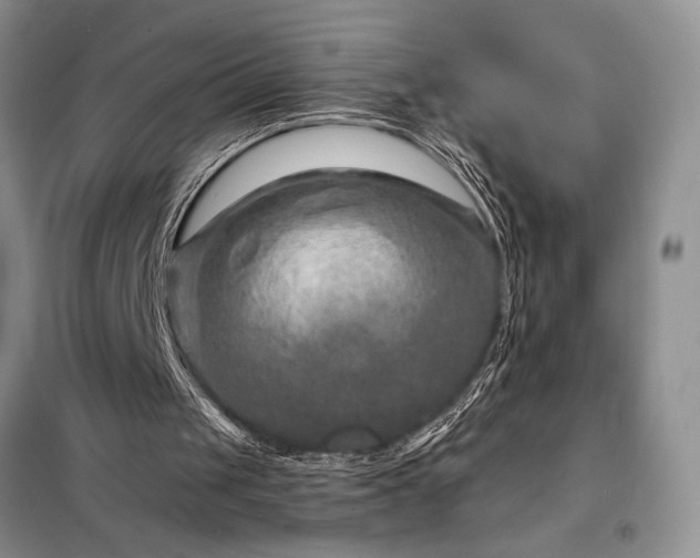 X0000098200049200805011156