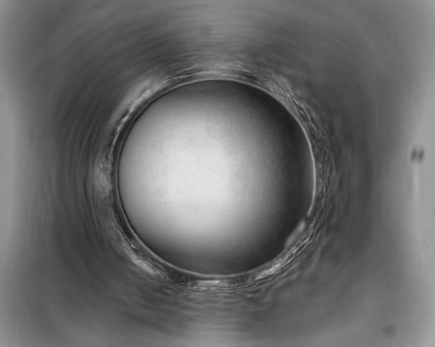 X0000098200050200805011156