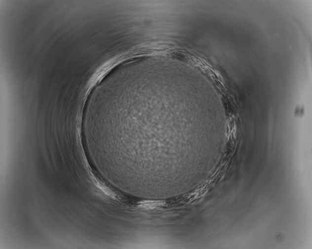 X0000098200051200805011156