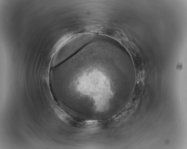 X0000098200052200805011156