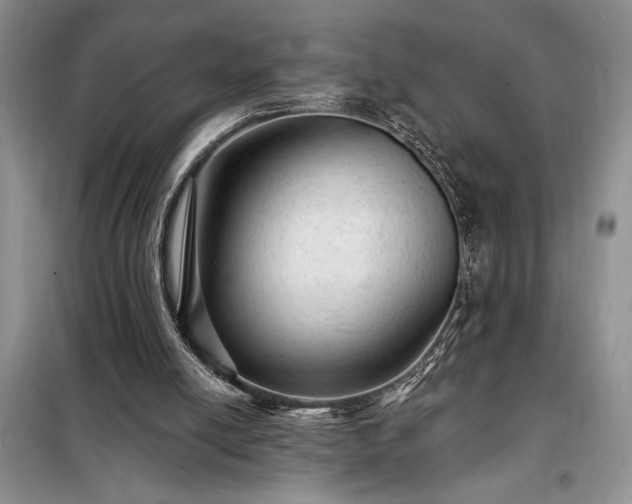 X0000098200054200805011156