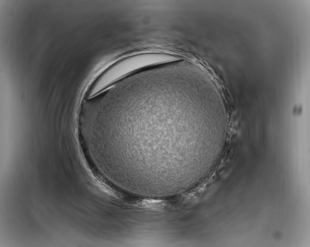 X0000098200055200805011156