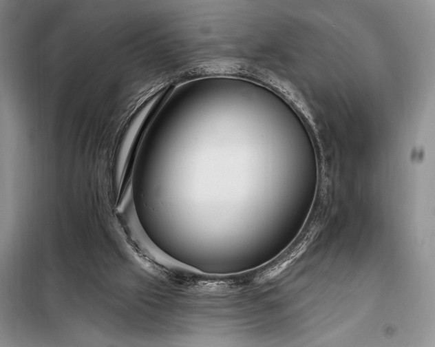 X0000098200057200805011157