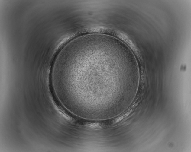 X0000098200058200805011157