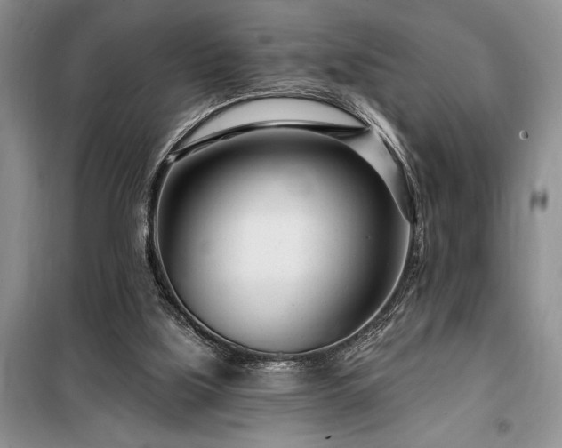 X0000098200059200805011157