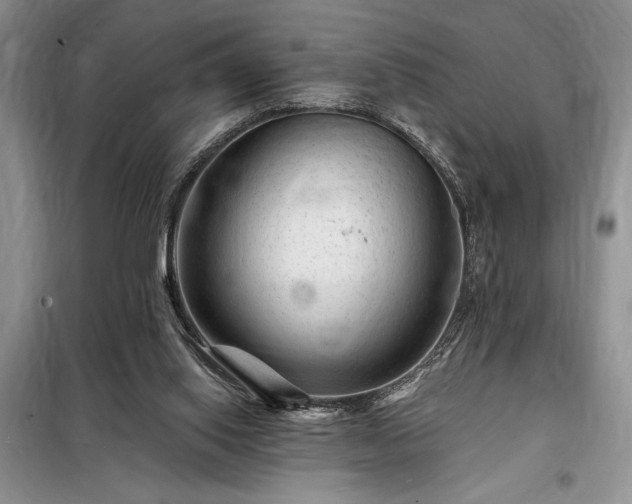 X0000098200062200805011157