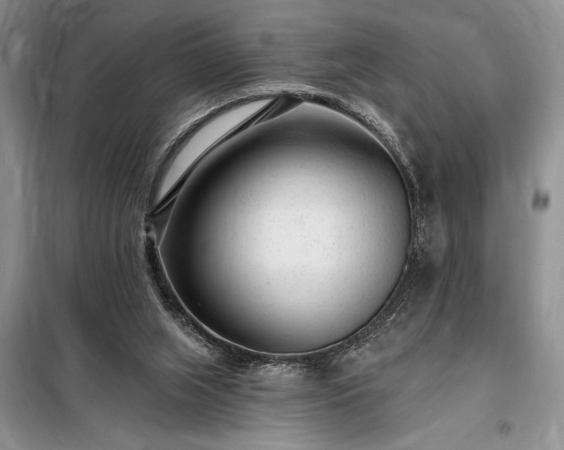 X0000098200063200805011157