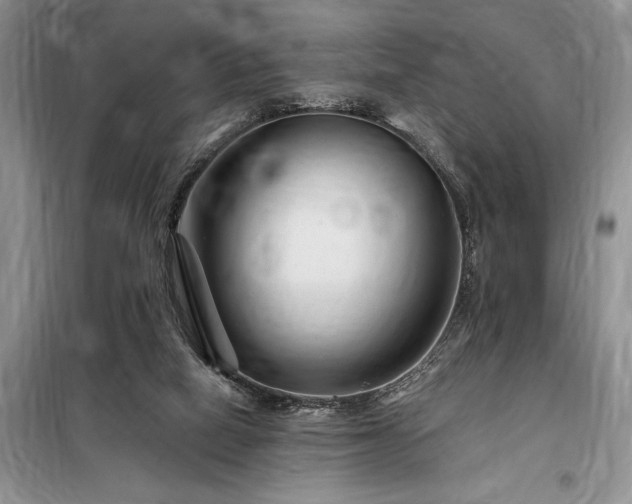 X0000098200066200805011157