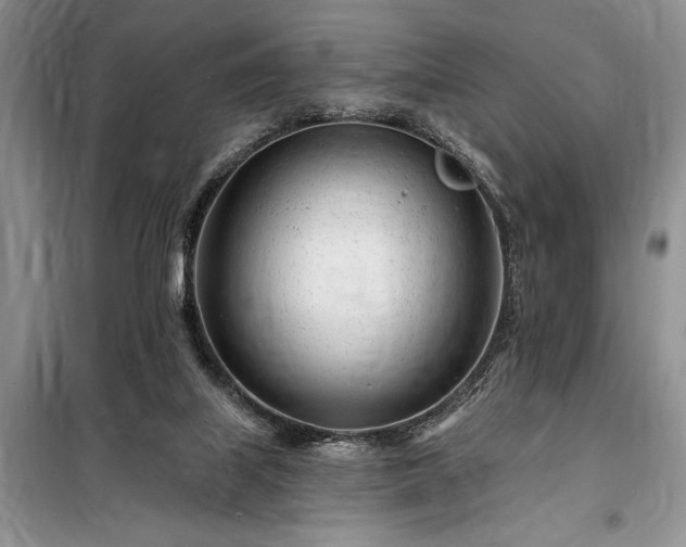 X0000098200067200805011157