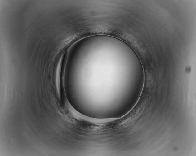 X0000098200068200805011157