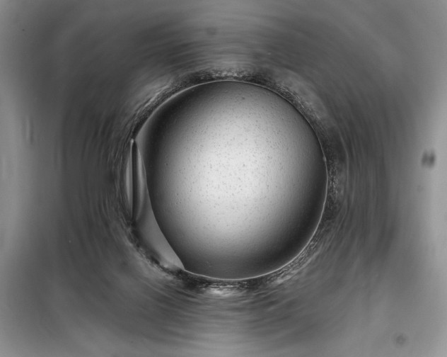 X0000098200070200805011157