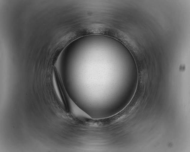 X0000098200073200805011157