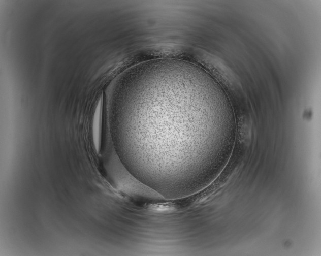 X0000098200077200805011157