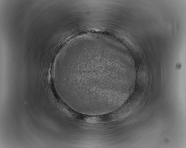 X0000098200079200805011157
