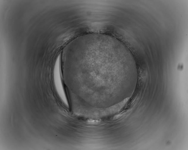 X0000098200080200805011157