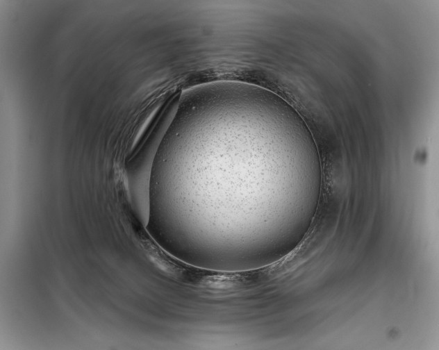 X0000098200082200805011157