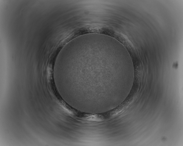 X0000098200083200805011157