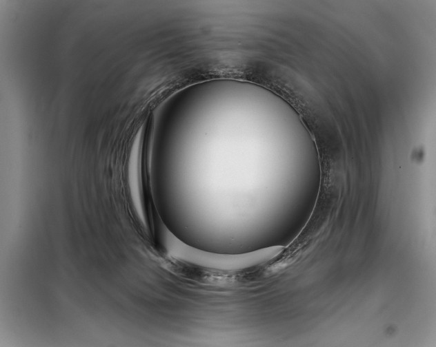 X0000098200084200805011157