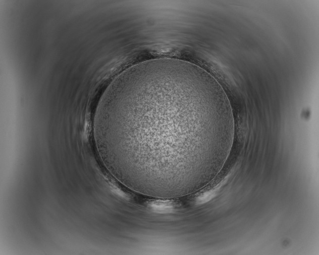 X0000098200085200805011157