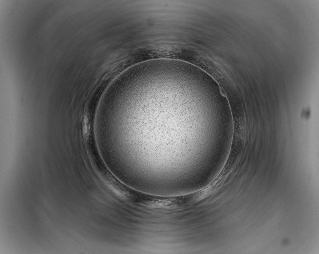 X0000098200086200805011157