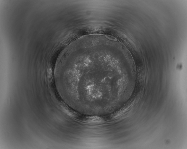 X0000098200087200805011157