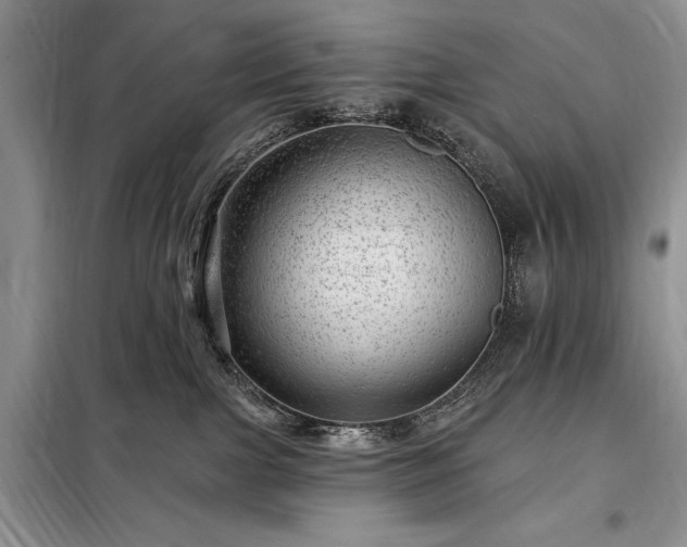 X0000098200091200805011157