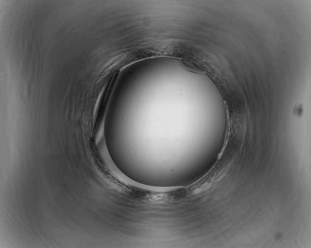X0000098200092200805011157