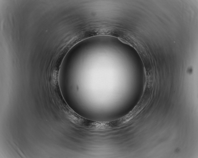 X0000098200093200805011157