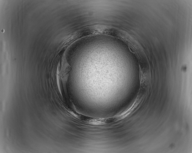 X0000098200094200805011157