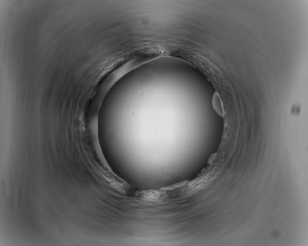 X0000098200096200805011157