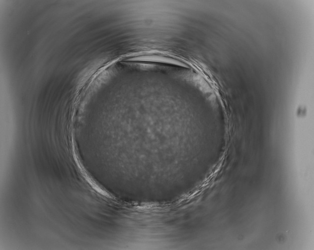 X0000098200097200805011156