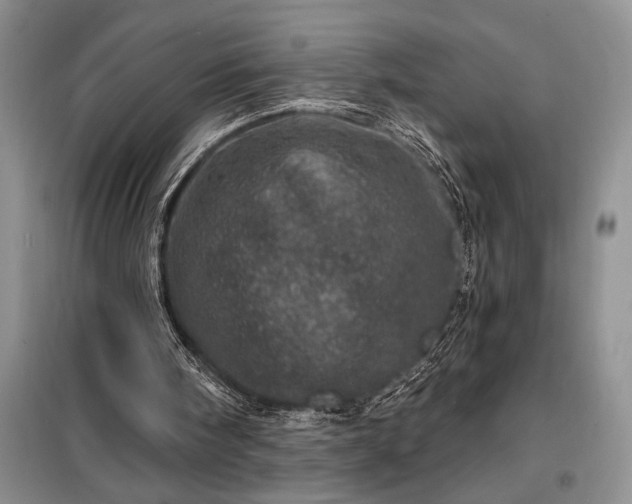 X0000098200098200805011156