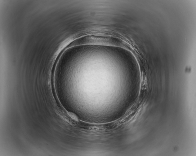 X0000098200099200805011156