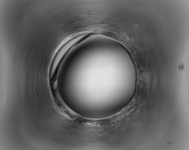 X0000098200100200805011156