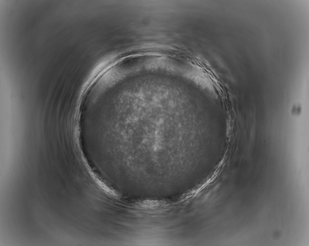 X0000098200101200805011156