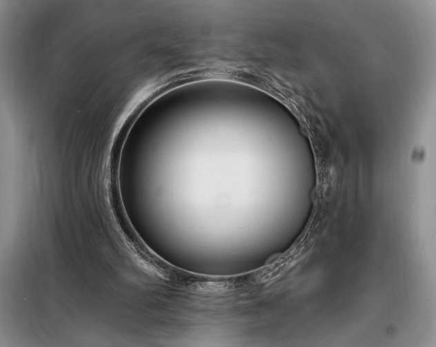 X0000098200102200805011156