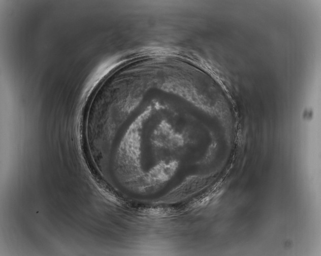 X0000098200103200805011156