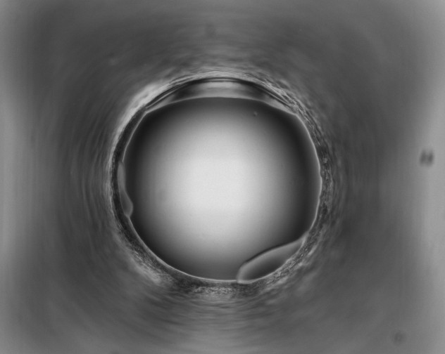 X0000098200104200805011156
