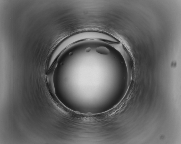 X0000098200105200805011156