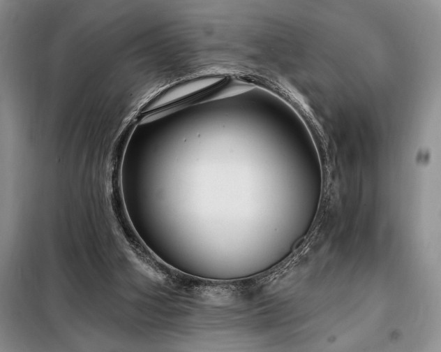 X0000098200106200805011156