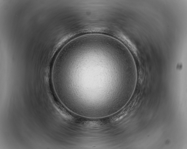 X0000098200107200805011156