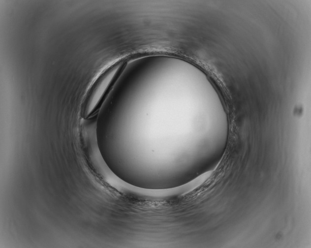 X0000098200108200805011156