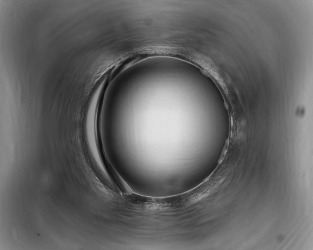 X0000098200109200805011156