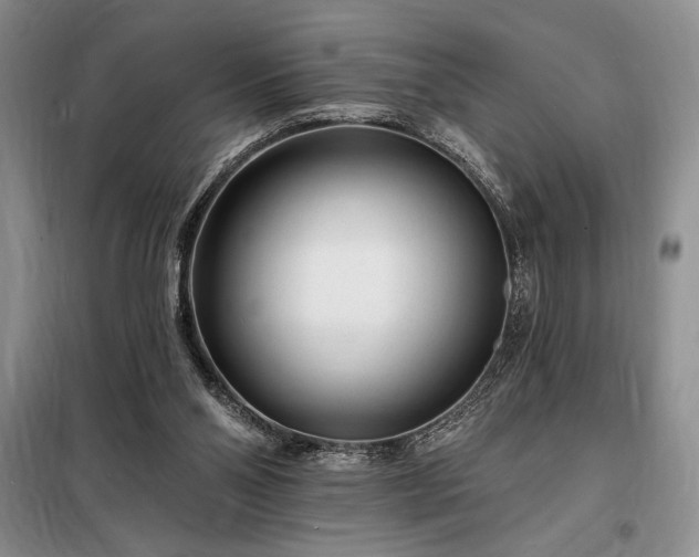 X0000098200110200805011156