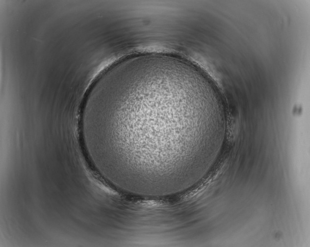 X0000098200111200805011156