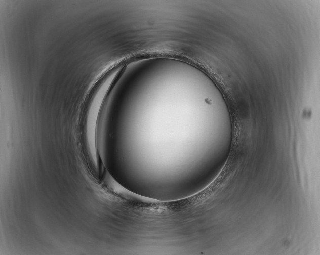 X0000098200112200805011156