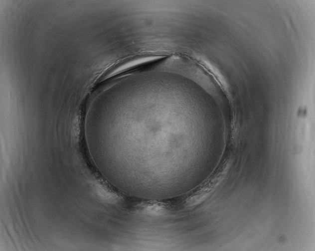 X0000098200113200805011156